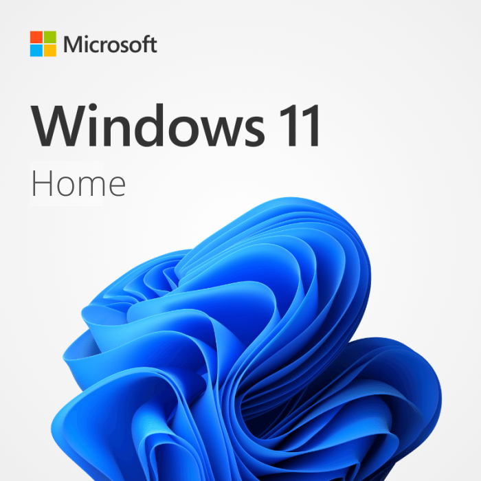 Windows 11 Home Edition
