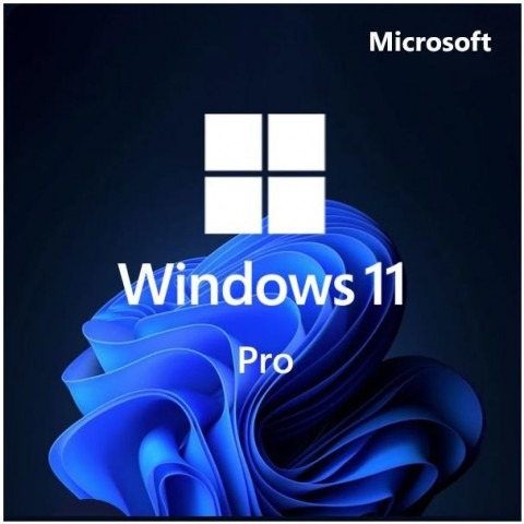 Windows 11 Professional Edition